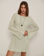 Sevila Long Sleeve Mini Dress in Mesh Sage Mini ZigZag