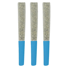 SlurpZ 1.5 g Blueberry Double Infused PRs 3 x 0.5 g Pre-Rolls