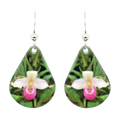 Lady Slipper