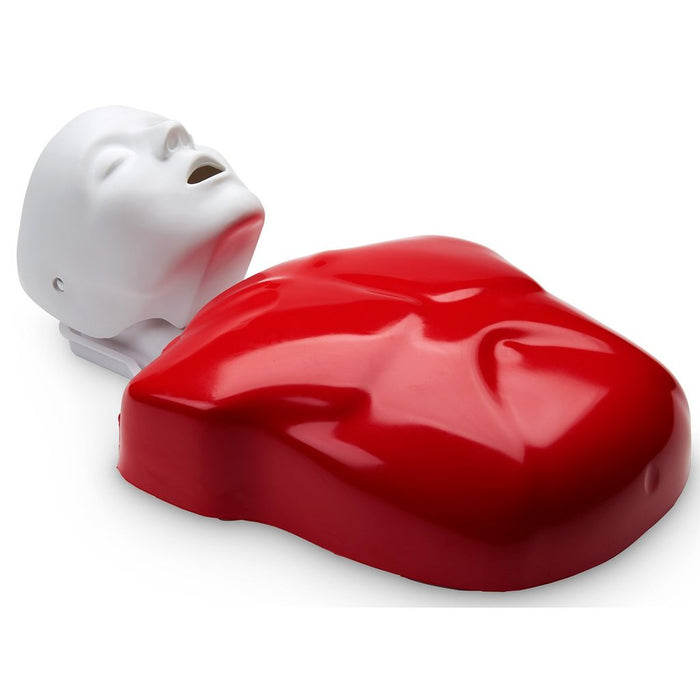 Manikin Basic Buddy