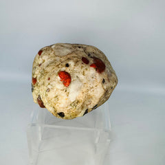 Michigan Puddingstone Specimen | Great Lakes Jasper Conglomerate Display Stone