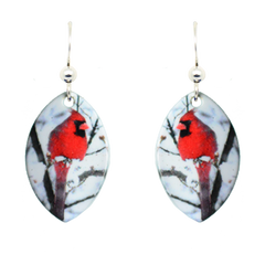 Northern Cardinal