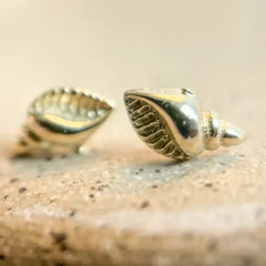 Seashell Studs
