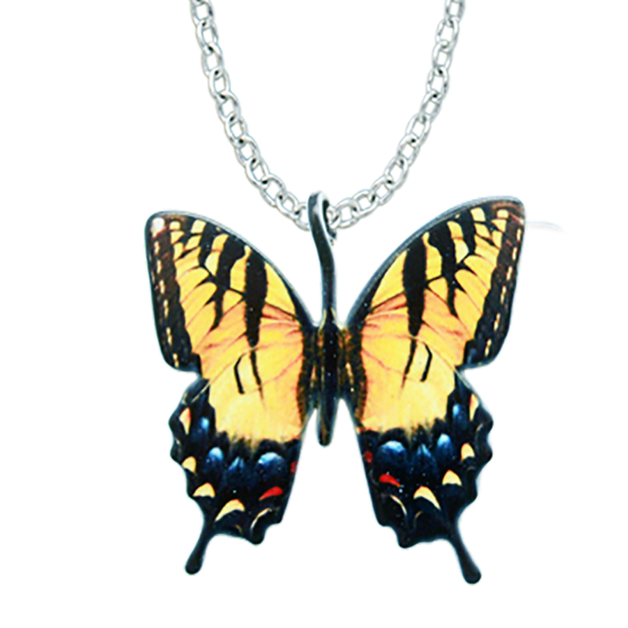 Tiger Swallowtail