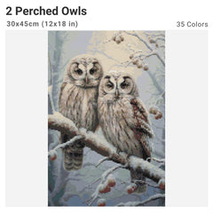 2 Perched Owls Diamond Painting Kit-30x45cm (12x18 in)-Heartful Diamonds