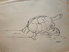 (Page Smith Pen & Ink Drawing) Tortoise. Signed. 1987.