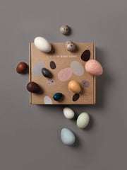A Dozen Bird Eggs