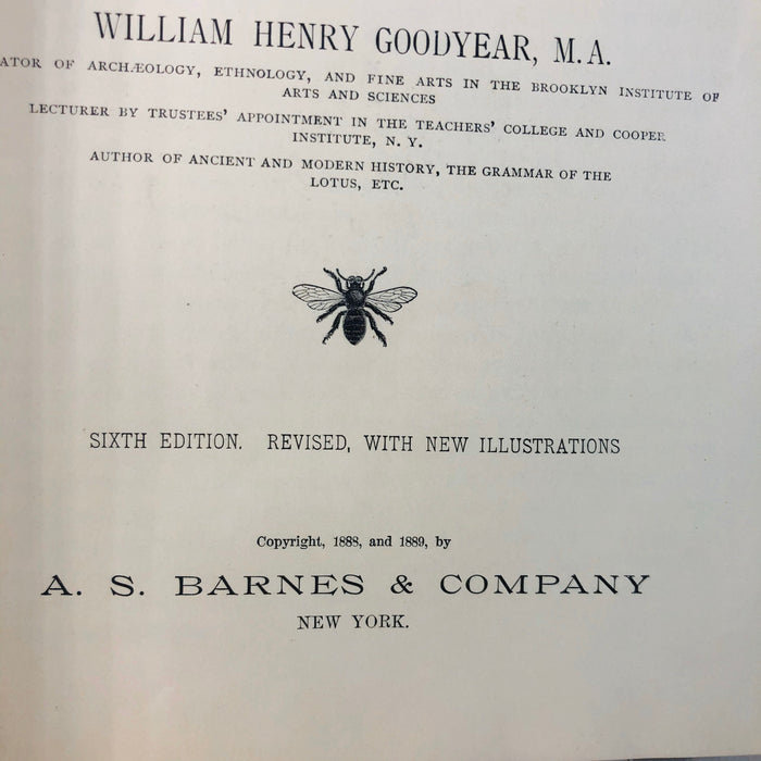A History of Art by William Goodyear MA 1889