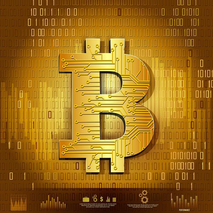Bitcoin Trust & Belief: Hodl - Crypto Enthusiast