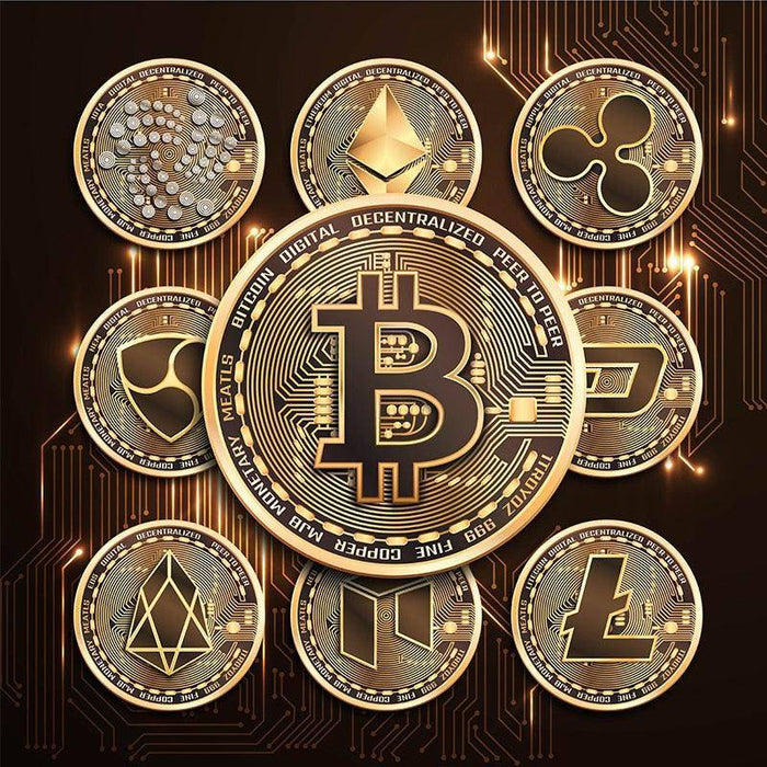Bitcoin Trust & Belief: Hodl - Crypto Enthusiast