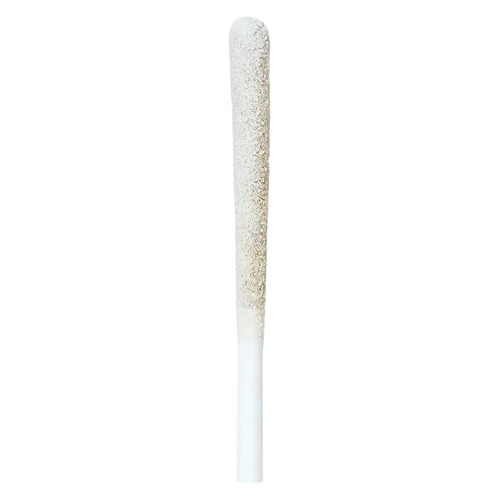 Irony 1 g Blueberry Muffin Infused PR 2 x 0.5 g Pre-Rolls