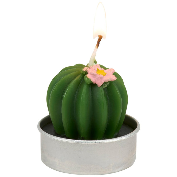 Candle shaped like a cactus with a pink flower on a white background