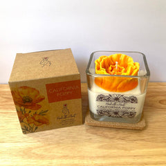 California Poppy Soy Wax Candle  - 10oz