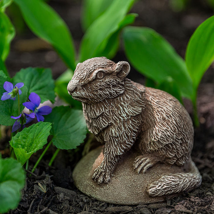 Light gray chipmunk sitting on a rounded rock