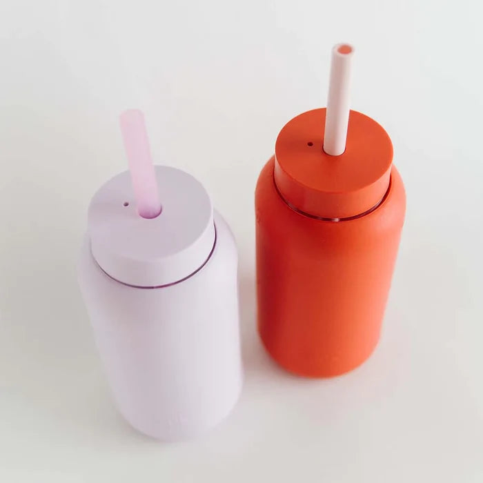 Colored Straws - Four Pack