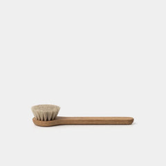 Face Brush - Wet