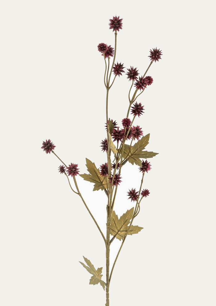 A faux red sanicula spray.