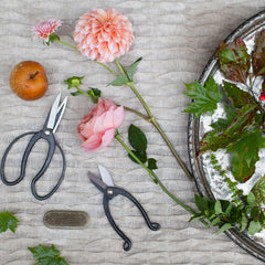 Floral Design at the Farm - Saturday 10.22.22, 2PM - 4PM