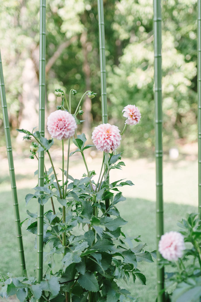 Floral Design at the Farm - Saturday 10.22.22, 2PM - 4PM