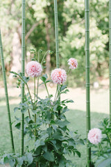 Floral Design at the Farm - Saturday 10.22.22, 2PM - 4PM