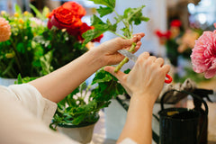 Floral Design Workshop - Thursday 05.11.23, 6PM - 8PM