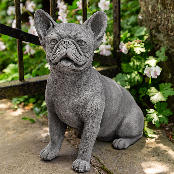 Small French bulldog sitting