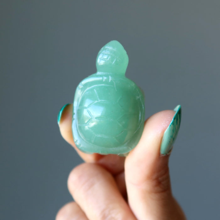 holding Green Aventurine Turtle
