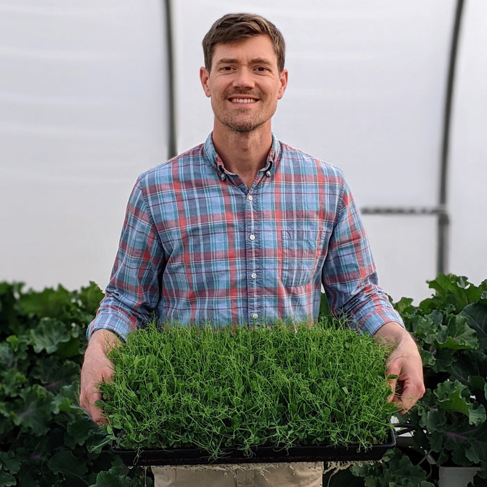 Growing Your Own Microgreens Workshop - 05.15.22, 11AM - 1PM