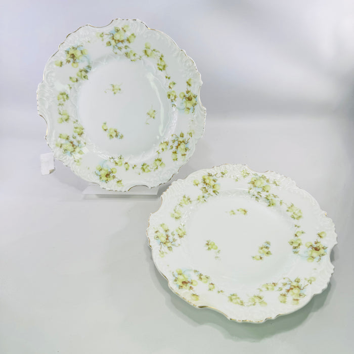Hermann Ohme Eglantine Plates Set of 2 Green Blue Floral
