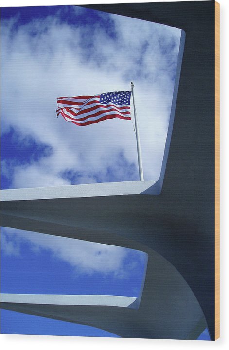 In Solemn Remembrance - Wood Print - Fry1Productions