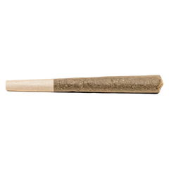 Divvy 1 g Killa Kiwi Distillate Infused PR 1 x 1 g Pre-Rolls