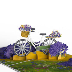 Lavender Bicycle Lovepop Card