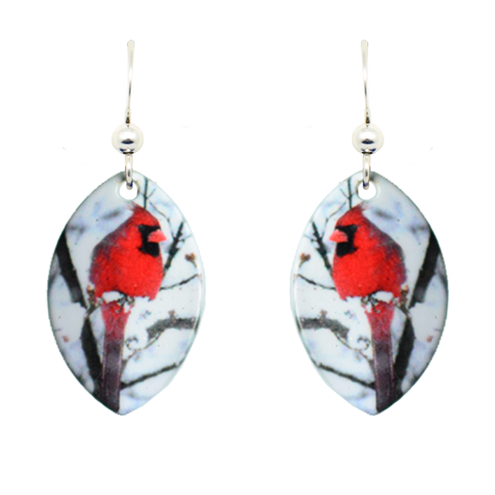 Northern Cardinal