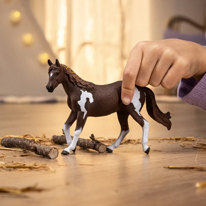 Paint Horse Mare