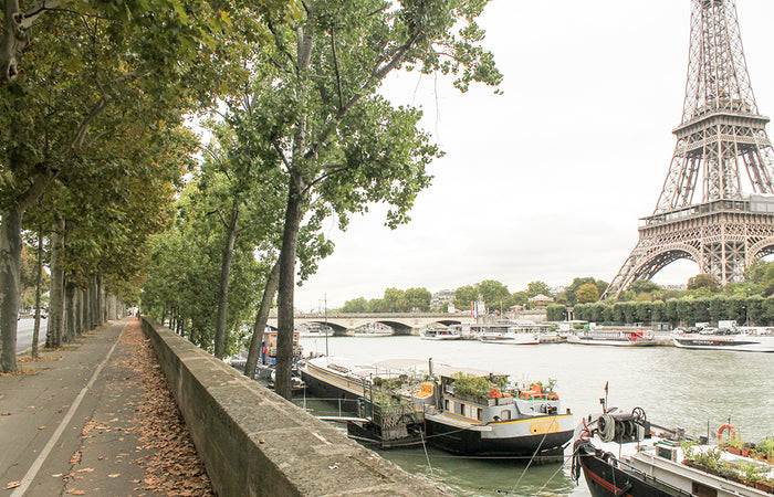 Paris Eiffel Tower in the Fall