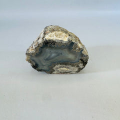 Polished Agate Nodule with Blue Gray Banding, Natural Rough Exterior, Cut Face Display Specimen