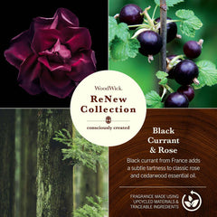 ReNew Collection Black Currant & Rose WoodWick Candle