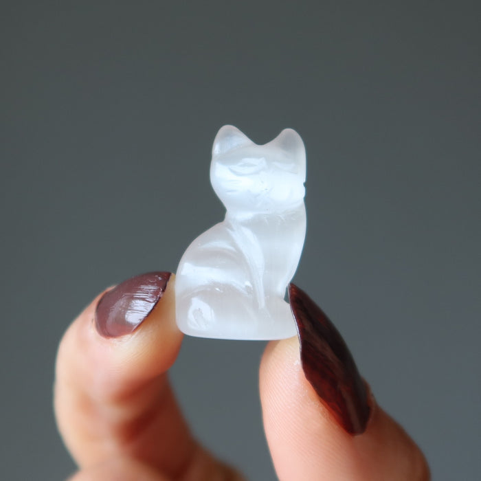 white selenite cat