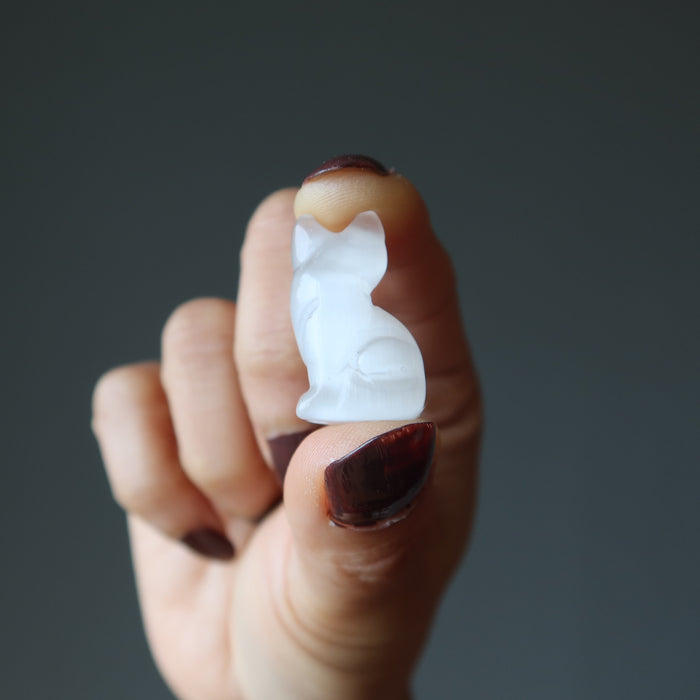 white selenite cat