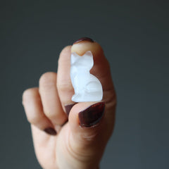 white selenite cat