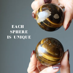 hands holding 2 Den Muddy Earth Tigers Eye Spheres