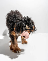 Twist Toss | Dog Toy