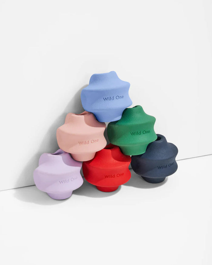 Twist Toss | Dog Toy