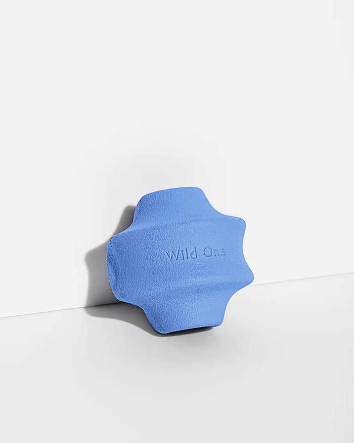 Twist Toss | Dog Toy