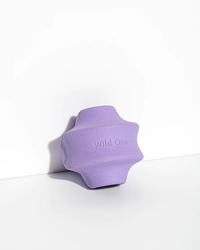 Twist Toss | Dog Toy