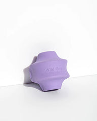 Twist Toss | Dog Toy
