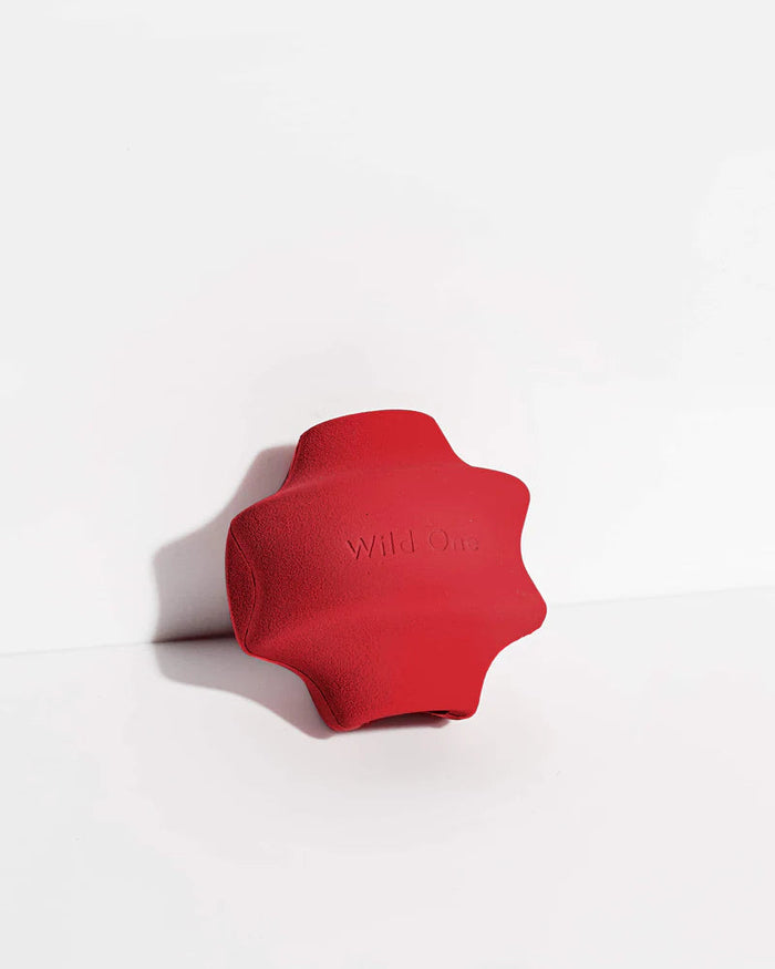 Twist Toss | Dog Toy