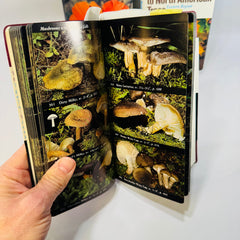 Vintage Audubon Field Guide Bundle Mushrooms Wildflowers Trees Knopf Nature Books 1980s