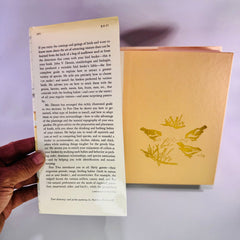 Vintage Bird Feeding Guide Hardcover by John V. Dennis 1986 Knopf Nature Book with Dust Jacket