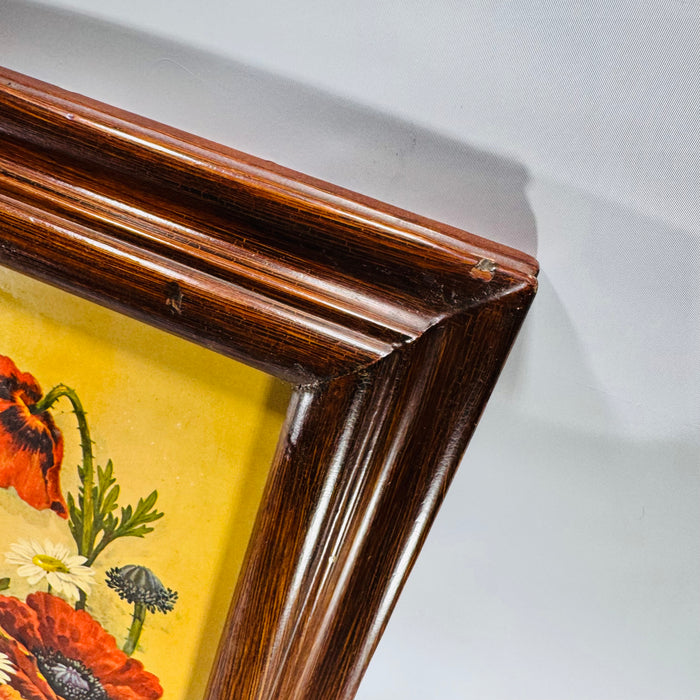 Vintage Framed Floral Print  by ROBERT LAESSIG ANA— Poppies & Daisies (18x9)